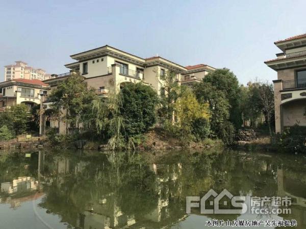 绿洲香岛330万5室2厅4卫其它角千年等一