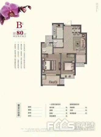 海宁康湖新城距高铁1km,90平首付25万配套成熟