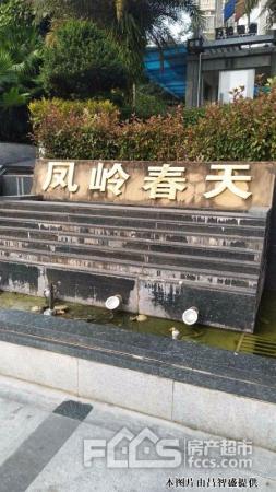 凤岭春天