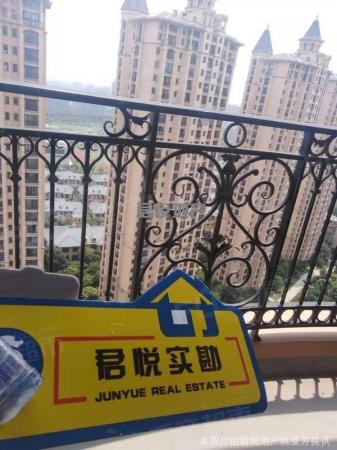 东菱·宝石公馆宝石公馆,全新毛坯,景观楼层,满两年的第6张配图