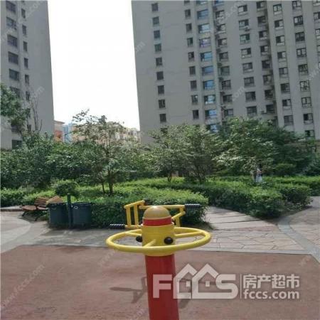 海富金棕榈一室一厅南向精装修62米90w雷锋校区