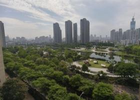 府东家园