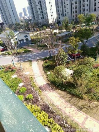 溧阳西城花园图片