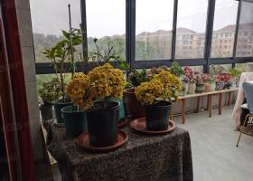 黄龙花园