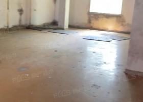柯木塱新村大街小区